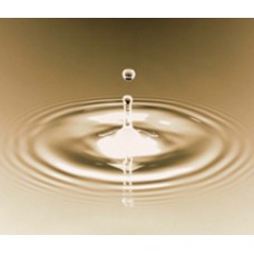 VacMaster Machine Refill Oil 